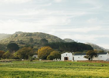 Things to do in Cape Town this spring 2018