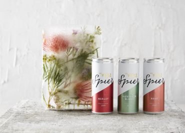win spier wine cans