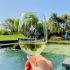 women who wine at steenburg wine estate